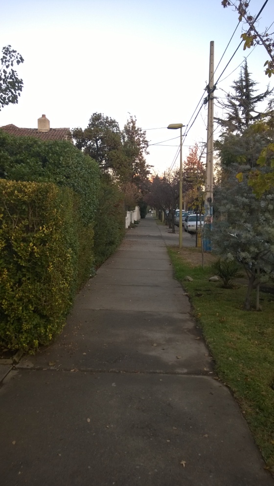 Neighborhood walk
